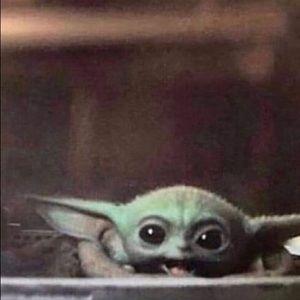 Meet your Posher, Johnny